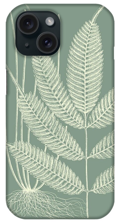  iPhone Case featuring the painting Ferns On Sage II by Vision Studio