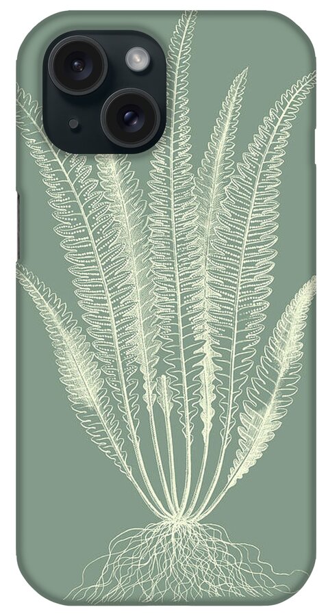 Botanical & Floral iPhone Case featuring the painting Ferns On Sage Iv by Vision Studio