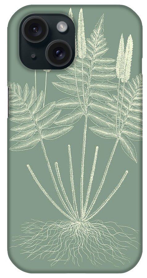  iPhone Case featuring the painting Ferns On Sage Vii by Vision Studio