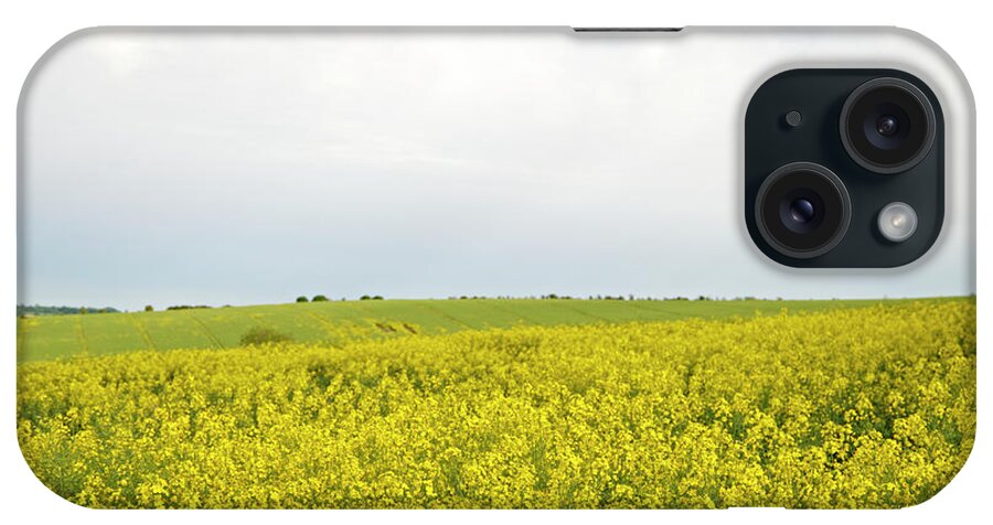 Cambridgeshire iPhone Case featuring the photograph Field Of Oilseed Rape Brasicca Napus by Liz Whitaker