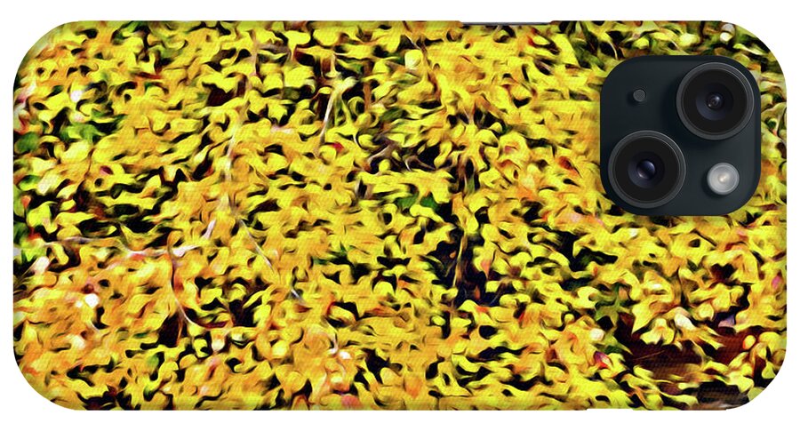 Autumn iPhone Case featuring the photograph Field of Yellow by Darryl Brooks