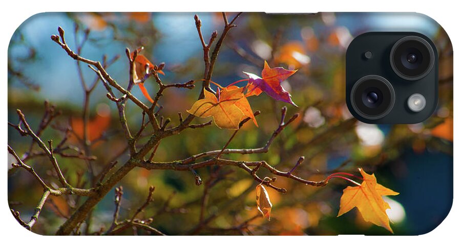 Fall Leaves iPhone Case featuring the photograph Fiery Autumn by Bonnie Bruno
