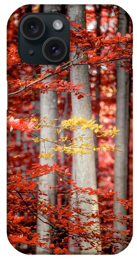 Autumn iPhone Case featuring the photograph Final Moments by Philippe Sainte-Laudy