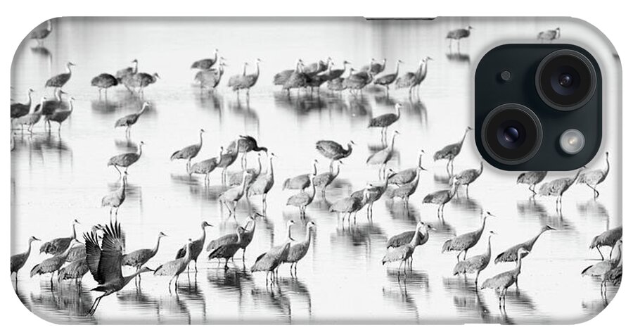 Richard E. Porter iPhone Case featuring the photograph First One Off - Muleshoe Wildlife Refuge, Texas by Richard Porter