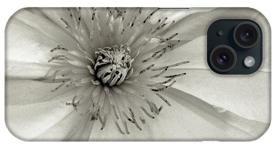Floral & Botanical iPhone Case featuring the photograph Fl239 Florison 32 by Alan Blaustein