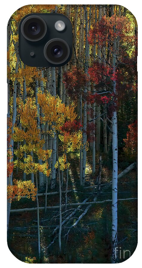 Aspen iPhone Case featuring the photograph Flames of Autumn by Jim Garrison