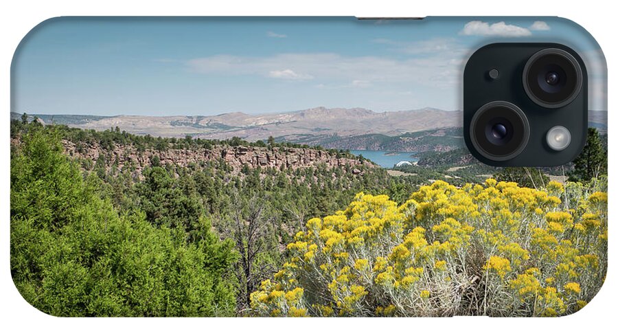 Flaming Gorge iPhone Case featuring the photograph Flaming Gorge Chamisa by Patricia Gould