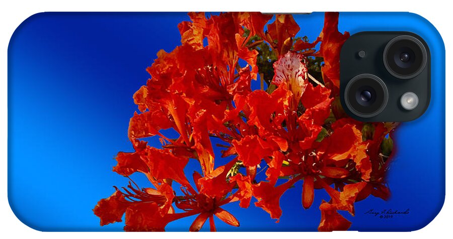 Brilliant iPhone Case featuring the photograph Flaming Royal Poinciana by Gary F Richards
