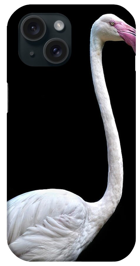Animal Themes iPhone Case featuring the photograph Flamingo by By Toonman