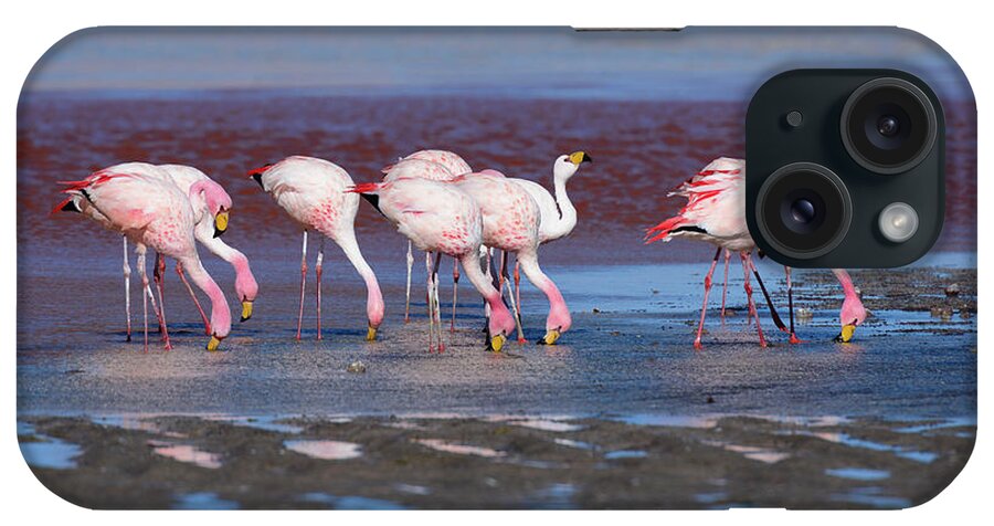 Bolivia iPhone Case featuring the photograph Flamingoes In Laguna Colorada by Tina Bizaj