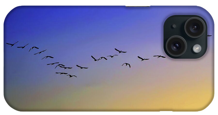Animal Themes iPhone Case featuring the photograph Flamingos by Amateur Photographer, Still Learning...