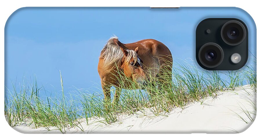 Animals iPhone Case featuring the photograph Flaxen Maned Mare by Donna Twiford