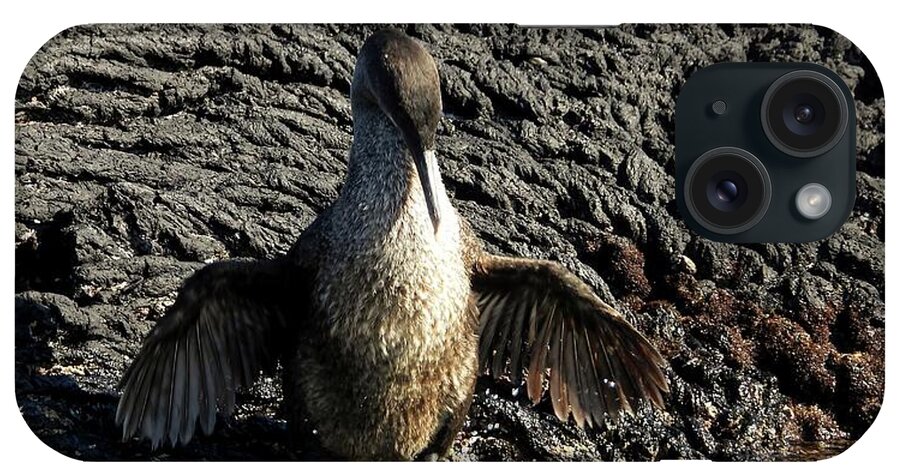 Flightless Cormorant iPhone Case featuring the photograph Flightless Cormorant of Isabela Island by Jennifer Wheatley Wolf