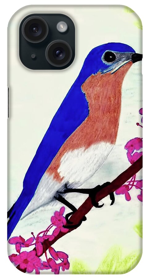 Bluebird iPhone Case featuring the drawing Florida - Eastern - Blue Bird by D Hackett
