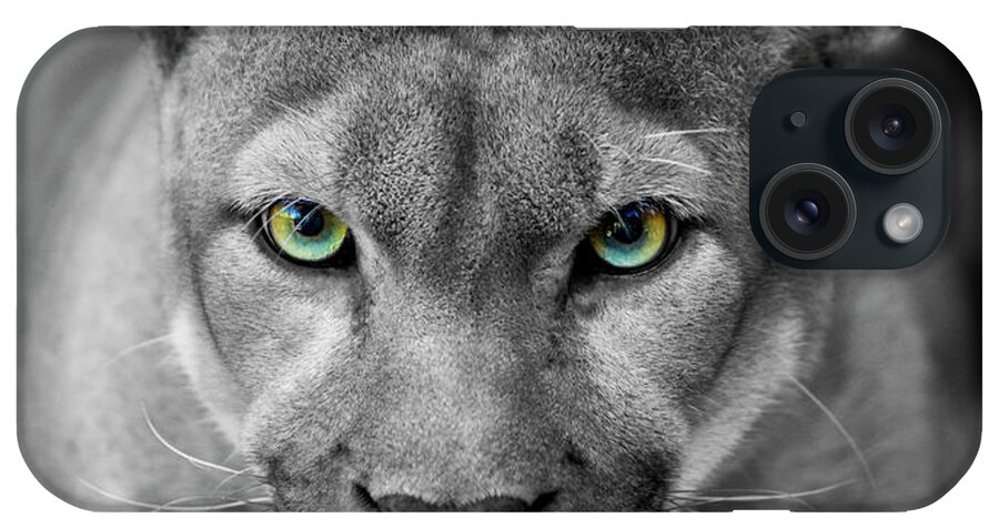 Animals In The Wild iPhone Case featuring the photograph Florida Panther Black & White Eyes In by Denguy