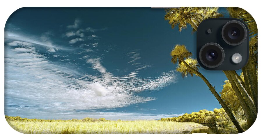 Jon Glaser iPhone Case featuring the photograph Florida State Park by Jon Glaser