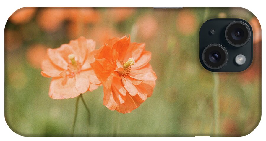 Flowers iPhone Case featuring the photograph Flower Buddies by Ana V Ramirez