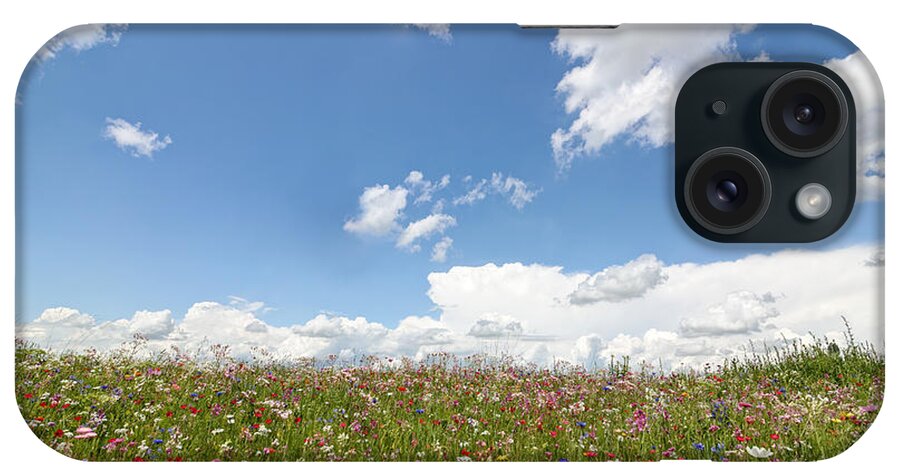 Grass iPhone Case featuring the photograph Flower Meadow by Antimartina