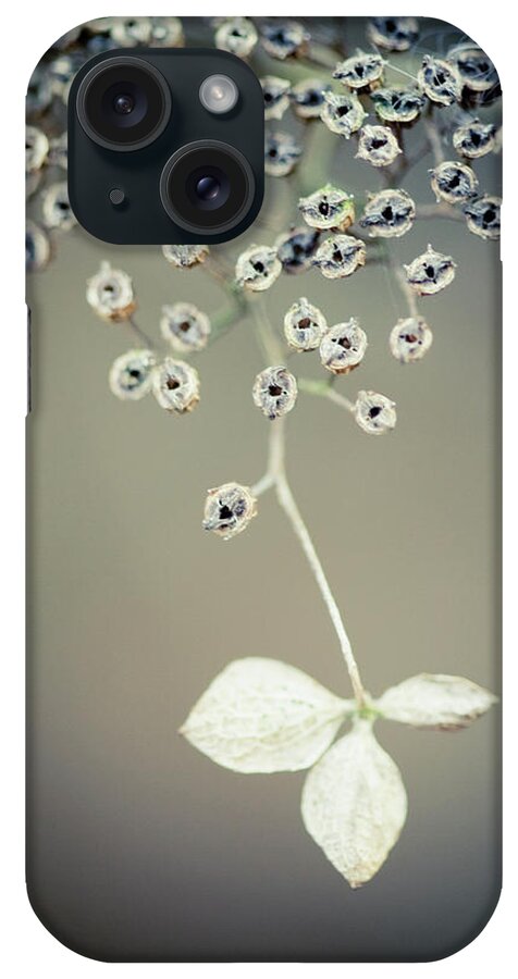 Netherlands iPhone Case featuring the photograph Flower Nature Artistic by Heleen Zeegers