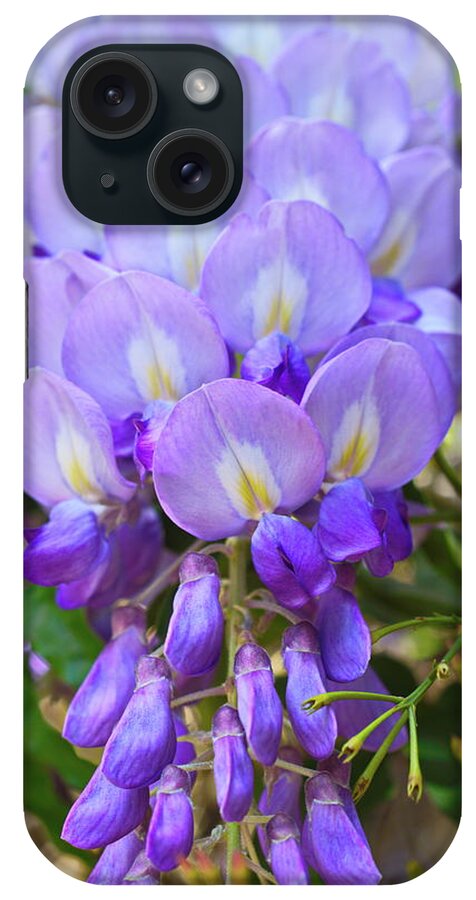 Wisteria iPhone Case featuring the photograph Flowers by Alex Viefhaus