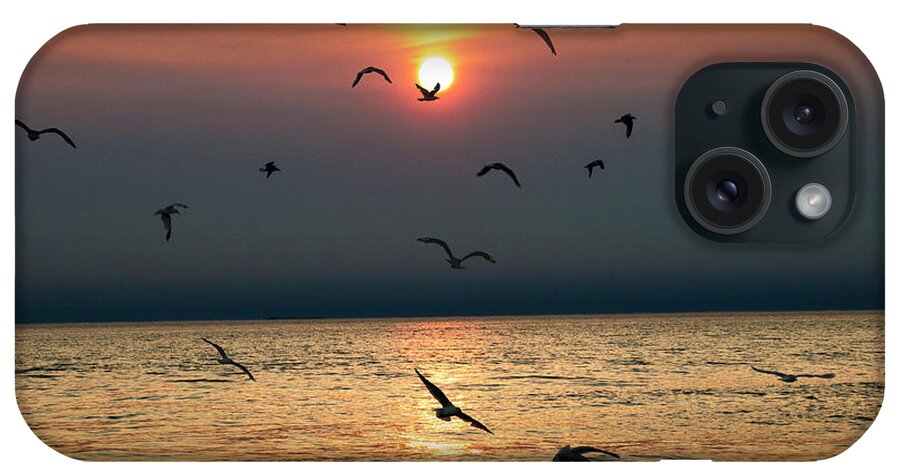 Surf iPhone Case featuring the photograph Flying Gulls at Sunset on Lake Michigan by Randall Nyhof
