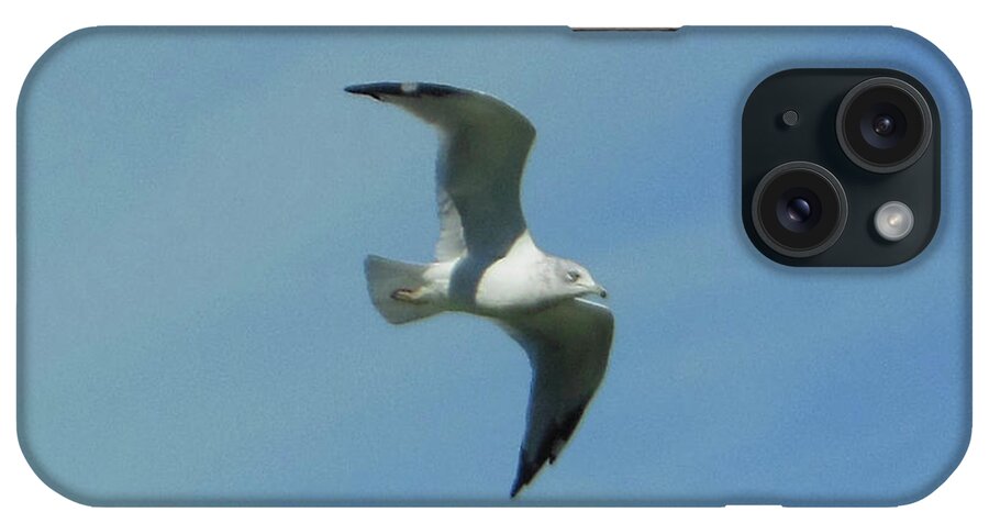 Flying Seagull iPhone Case featuring the photograph Flying Seagull by Rockin Docks