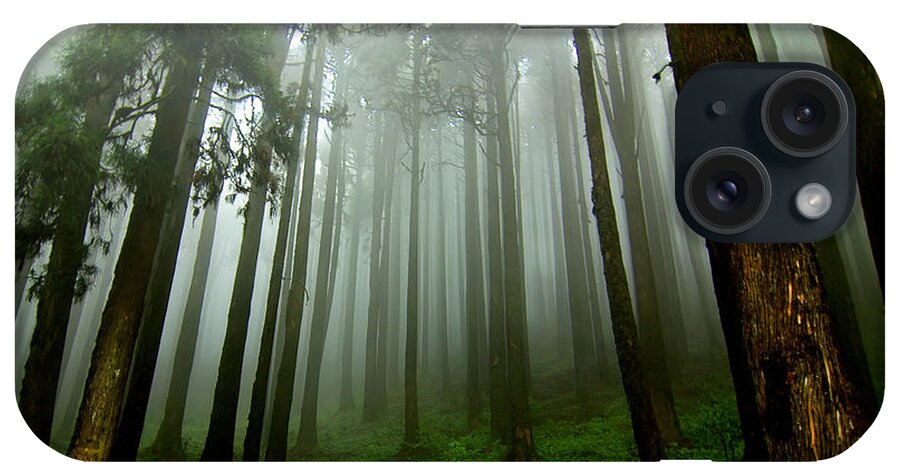 Outdoors iPhone Case featuring the photograph Foggy Afternoon by Copyright Dhurjati Chatterjee