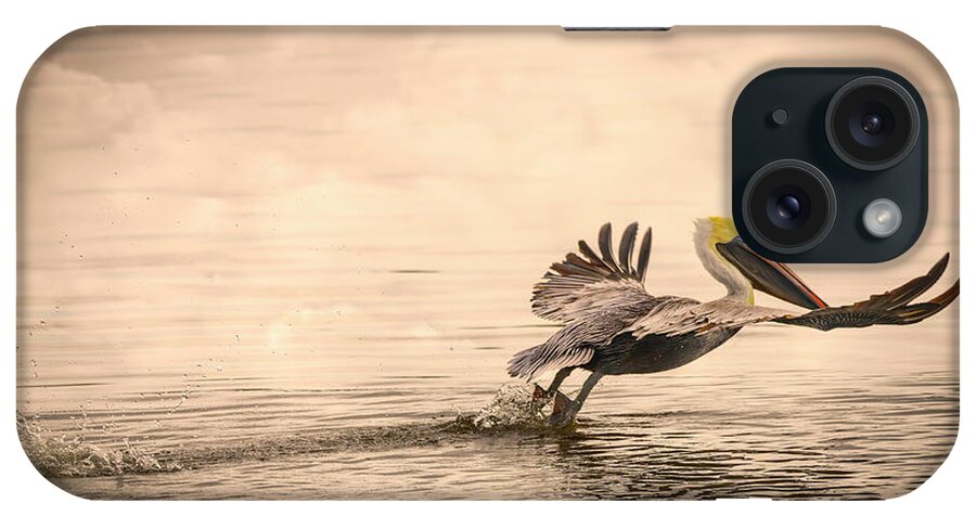 Pelicans iPhone Case featuring the photograph Foggy Aquatic Liftoff by DB Hayes