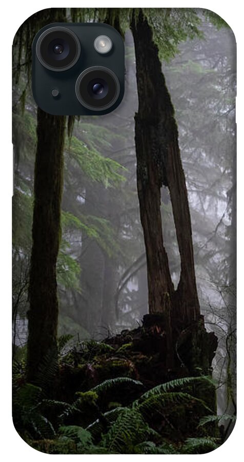 Fog iPhone Case featuring the photograph Foggy Forest by Steven Clark