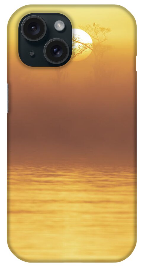 Central Florida iPhone Case featuring the photograph Foggy Wetlands Sunrise by Stefan Mazzola