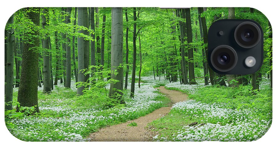 Tranquility iPhone Case featuring the photograph Footpath Through Ramsons by Martin Ruegner