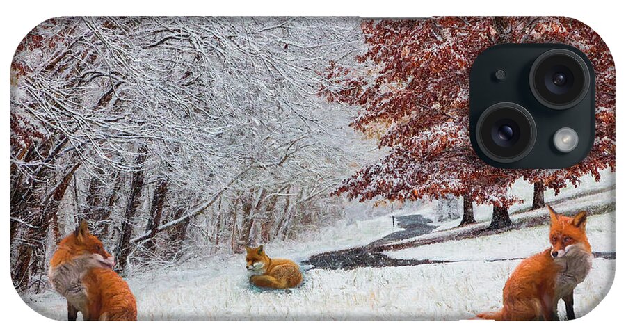 Appalachia iPhone Case featuring the photograph Foxes in Winter White and Red Painting by Debra and Dave Vanderlaan