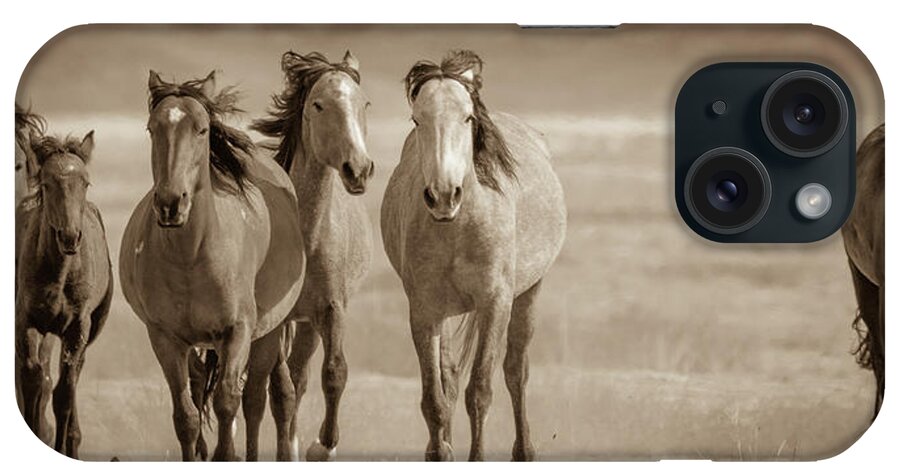 Wild Horses iPhone Case featuring the photograph Free family 2 by Mary Hone