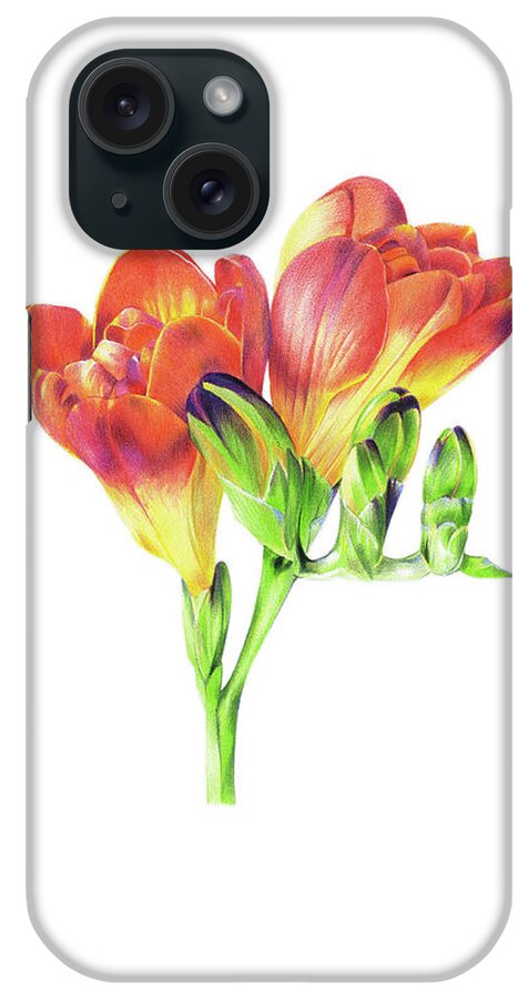 Freesia iPhone Case featuring the painting Freesia by Judith Selcuk Illustrations
