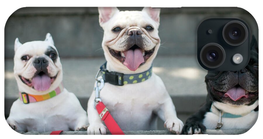 Pets iPhone Case featuring the photograph French Bulldogs by Tokoro