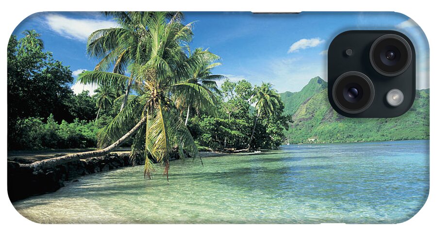 Scenics iPhone Case featuring the photograph French Polynesia, Tahiti, Moorea, Palm by Peter Adams