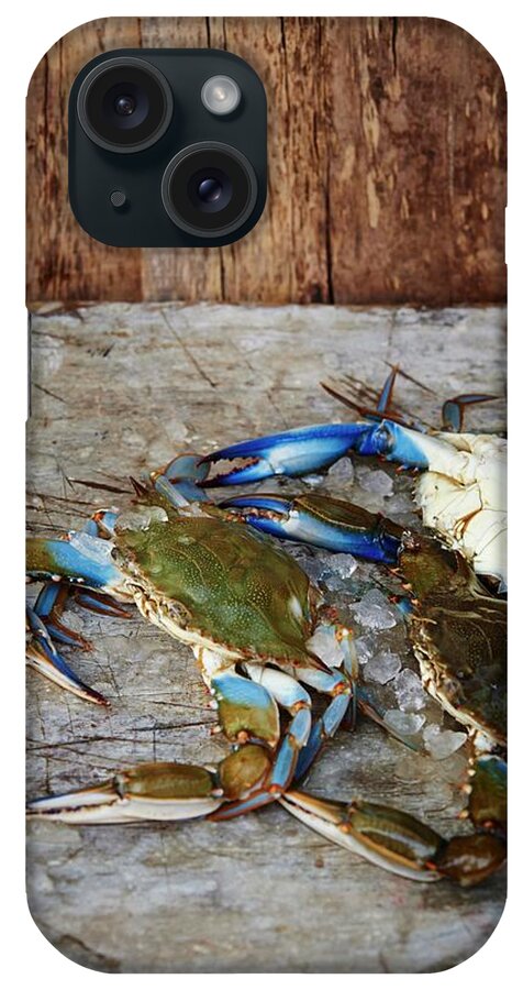 Ip_11503363 iPhone Case featuring the photograph Fresh Maryland Blue Crabs On A Wooden Surface by Greg Rannells