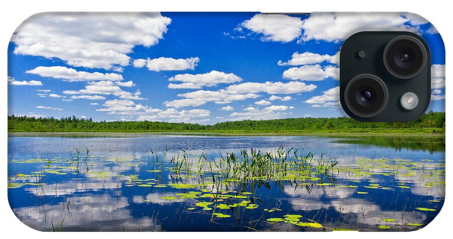 Alleghenies iPhone Case featuring the photograph Freshwater Pond Littoral Zone Habitat by Michael Gadomski