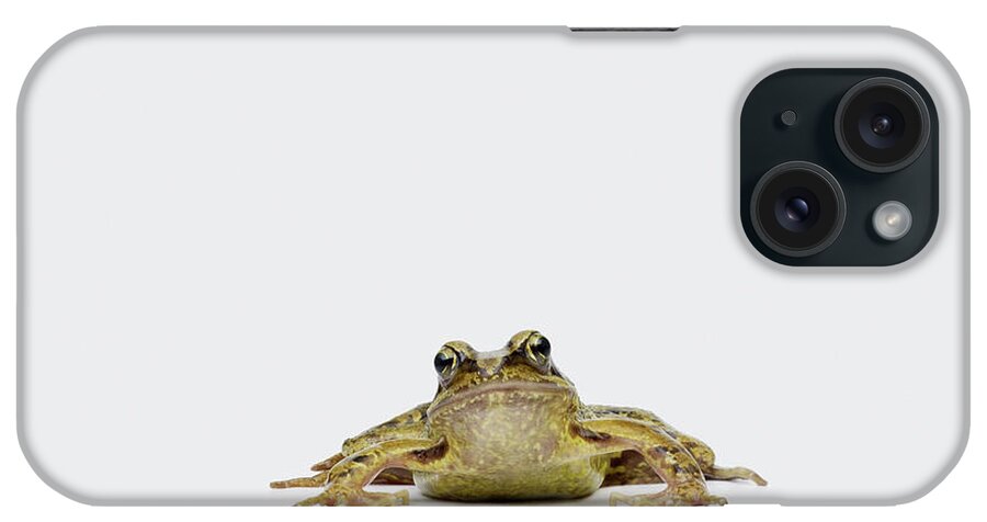 Animal Themes iPhone Case featuring the photograph Frog by Maarten Wouters