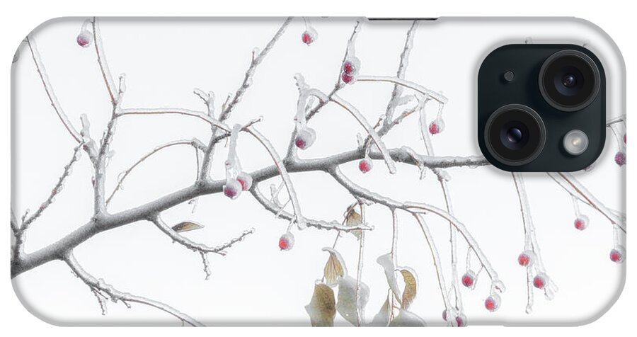 Winter iPhone Case featuring the photograph Frosted Berries by Darren White