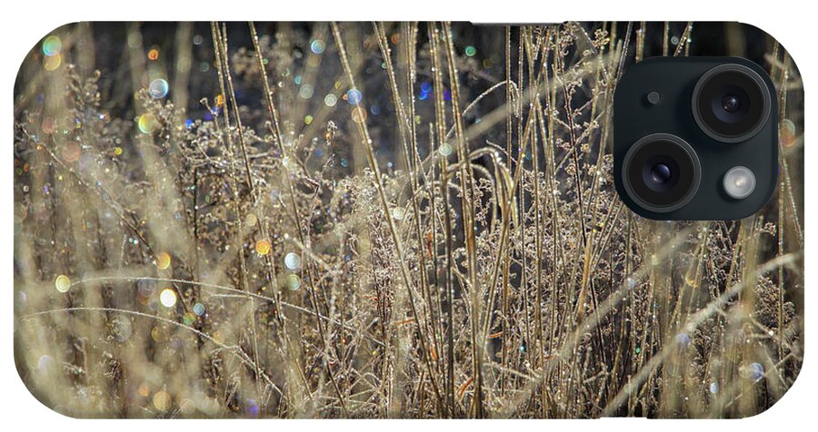 Frost iPhone Case featuring the photograph Frosty Meadow Grass 1 by Randy Robbins