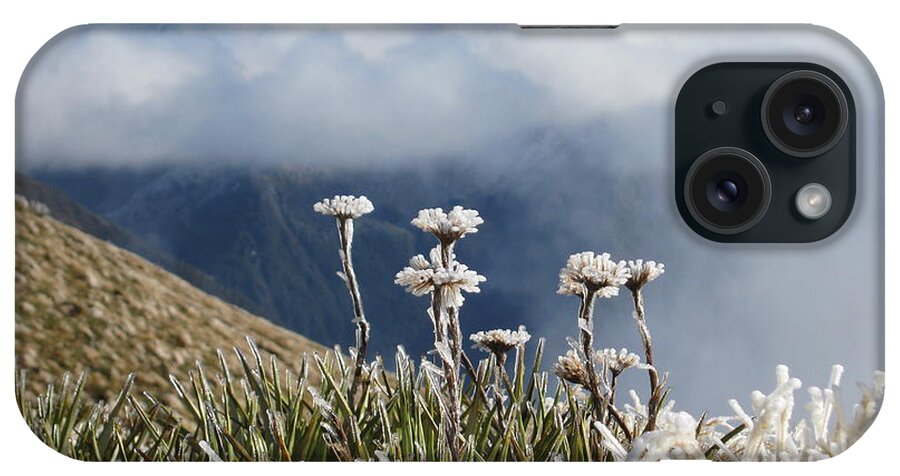 Grass iPhone Case featuring the photograph Frozen Flowers, Kepler Track, New by Cathie Bell