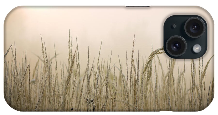 Scenics iPhone Case featuring the photograph Frozen Grass At Hazy Morning by Alexkotlov