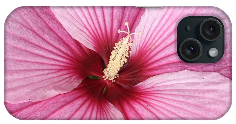 Hibiscus iPhone Case featuring the photograph Fuschia Fantastic by Anjel B Hartwell
