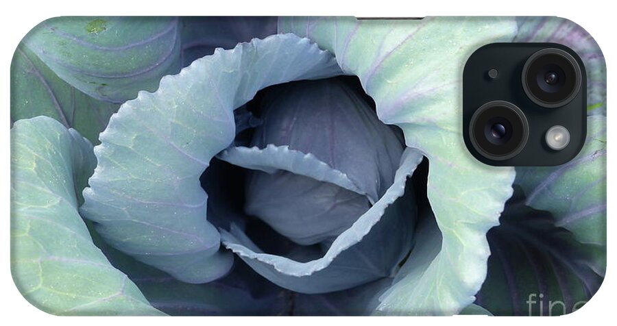 Blues And Purples iPhone Case featuring the photograph Garden Beauty by Rosanne Licciardi