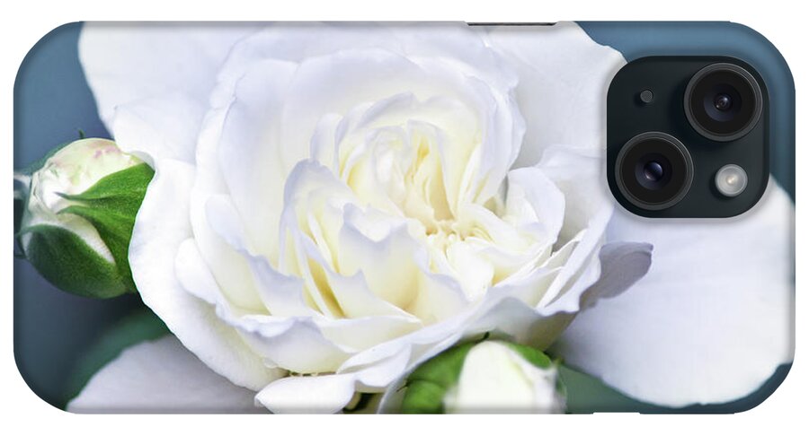 Flowers iPhone Case featuring the photograph Garden Rose by Christina Rollo