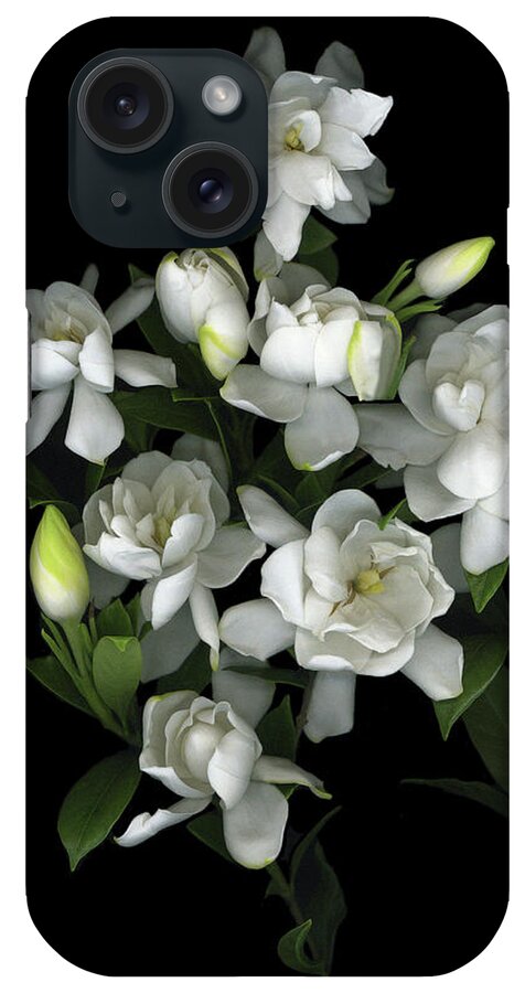 White Gardenia Flowers. iPhone Case featuring the painting Gardenia 06 by Susan S. Barmon