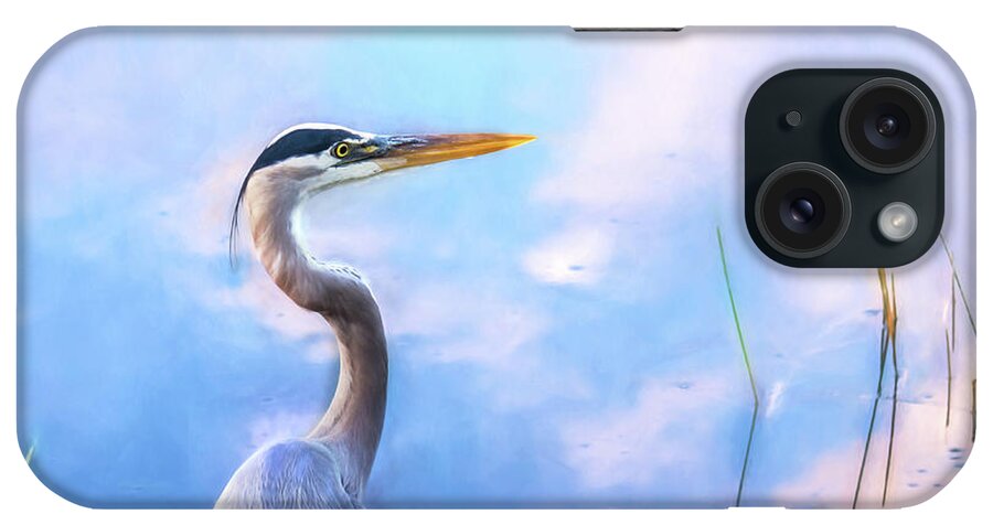 Great Blue Heron iPhone Case featuring the photograph Gazing by Louise Lindsay