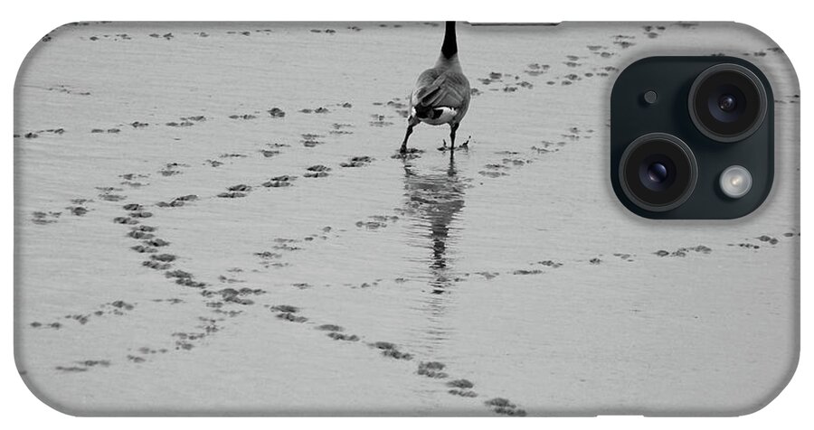 Animal Themes iPhone Case featuring the photograph Geese by All Copyrights Reserved By Harris Hui
