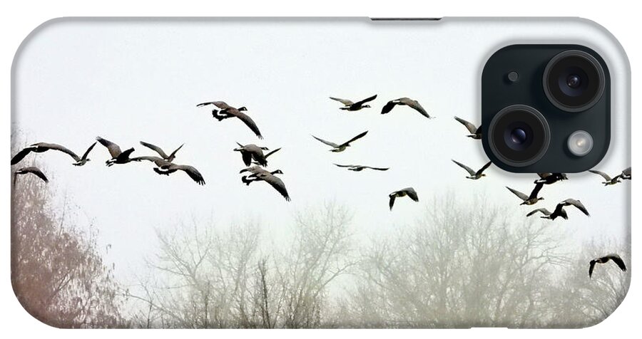 Canadian Geese iPhone Case featuring the photograph Geese in FLight by Scott Cameron